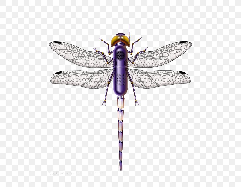 Dragonfly Insect Purple, PNG, 766x636px, Dragonfly, Animal, Arthropod, Fly, Green Download Free