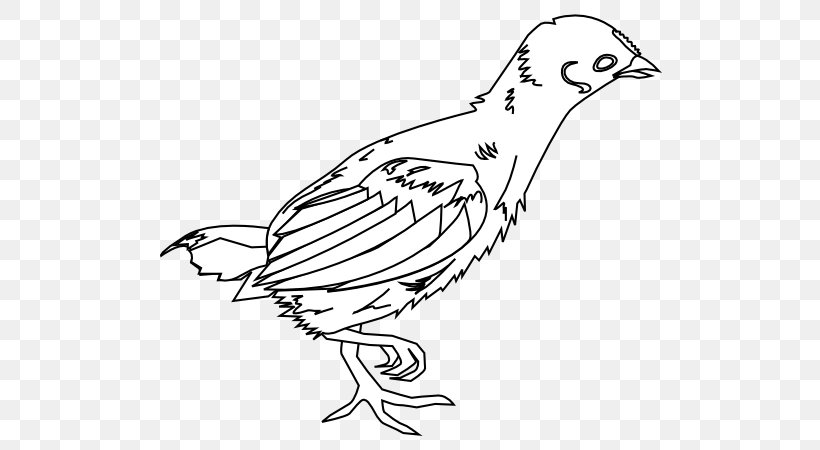 Fried Chicken Kifaranga Drawing Clip Art, PNG, 600x450px, Chicken, Artwork, Beak, Bird, Black And White Download Free