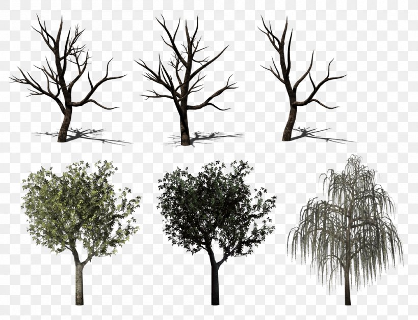 Twig Tree Wood Clip Art, PNG, 1000x768px, 2014, 2016, Twig, Advertising, Artistic Inspiration Download Free