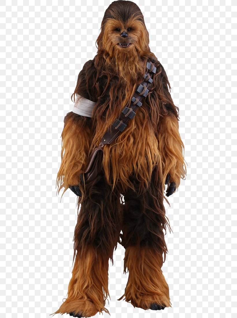 Chewbacca Han Solo Finn Star Wars Action & Toy Figures, PNG, 480x1097px, 16 Scale Modeling, Chewbacca, Action Toy Figures, Costume, Empire Strikes Back Download Free
