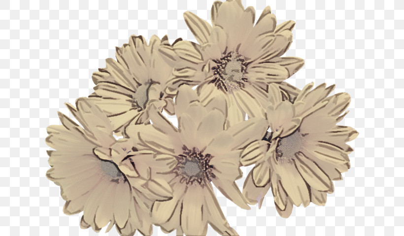 Gerbera Brooch Flower Plant Leaf, PNG, 640x480px, Gerbera, Aster, Beige, Brooch, Cut Flowers Download Free