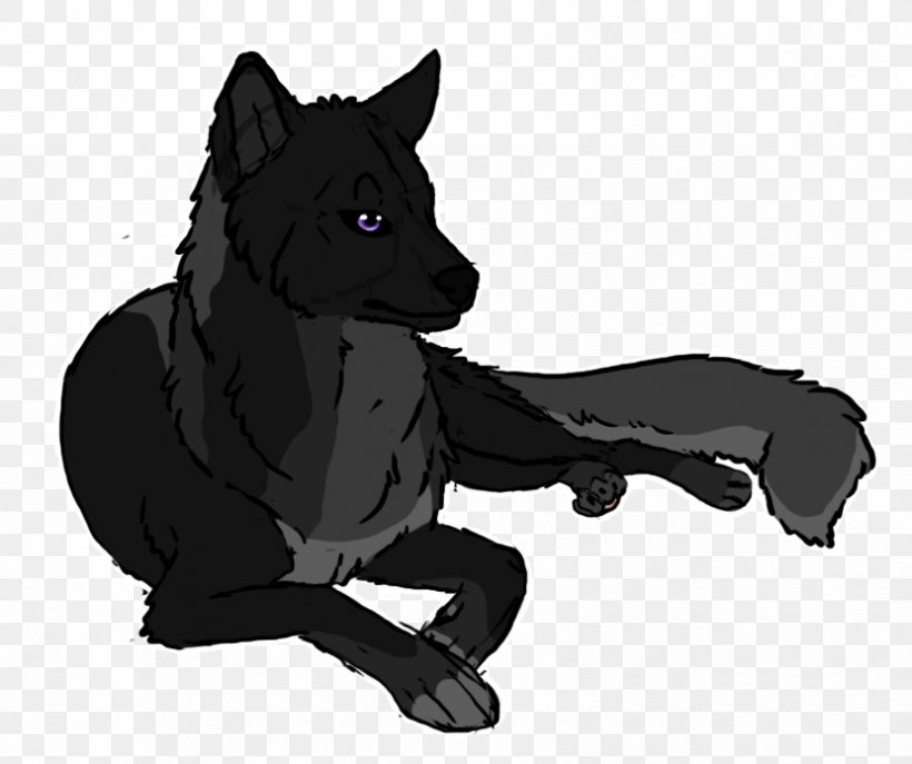 Schipperke Dog Breed Snout Fur, PNG, 830x696px, Schipperke, Black, Black And White, Breed, Carnivoran Download Free