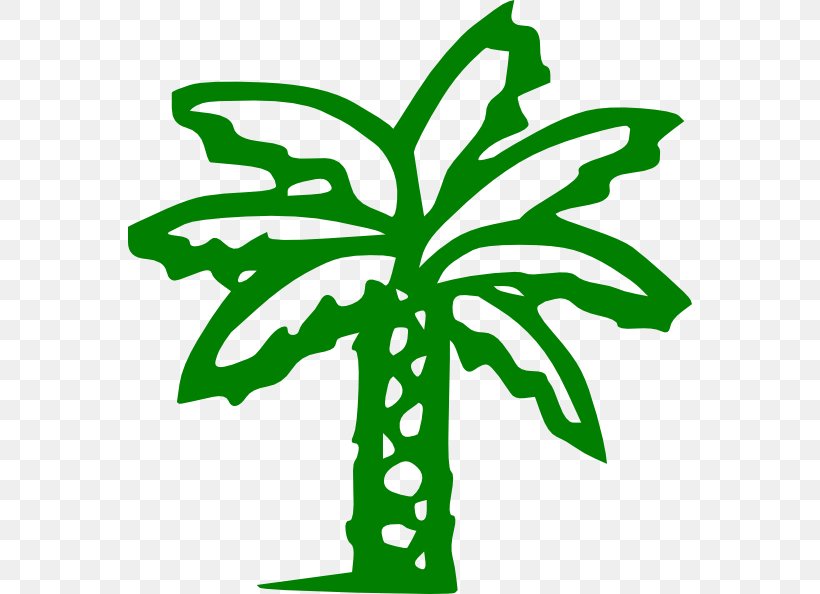 Arecaceae Clip Art, PNG, 564x594px, Arecaceae, Artwork, Coconut, Date Palm, Flora Download Free