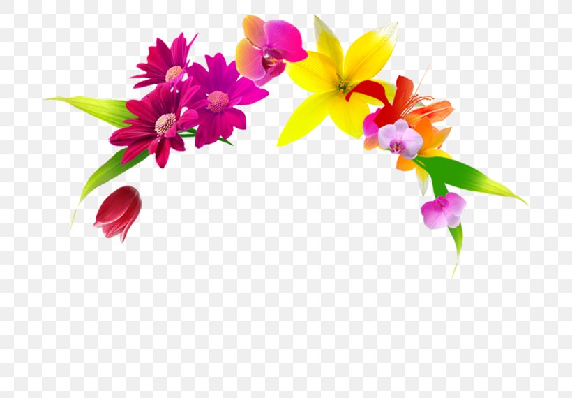 Floral Design Cut Flowers Flowerpot Plant, PNG, 720x570px, Floral Design, Cut Flowers, Flora, Floristry, Flower Download Free