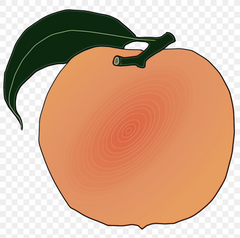 Orange, PNG, 1000x991px, Watercolor, Apple, Apricot, Fruit, Orange Download Free