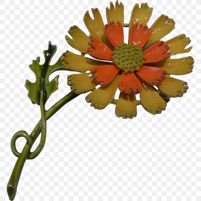 Transvaal Daisy Chrysanthemum Cut Flowers Petal, PNG, 1373x1373px, Transvaal Daisy, Chrysanthemum, Chrysanths, Cut Flowers, Daisy Download Free