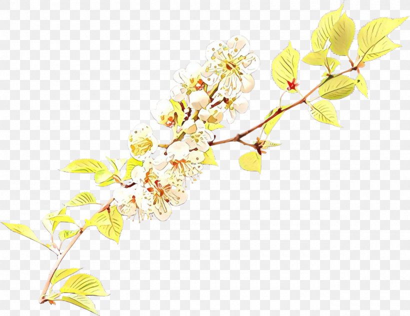 Floral Spring Flowers, PNG, 1280x987px, Cartoon, Blossom, Botany, Branch, Cherries Download Free