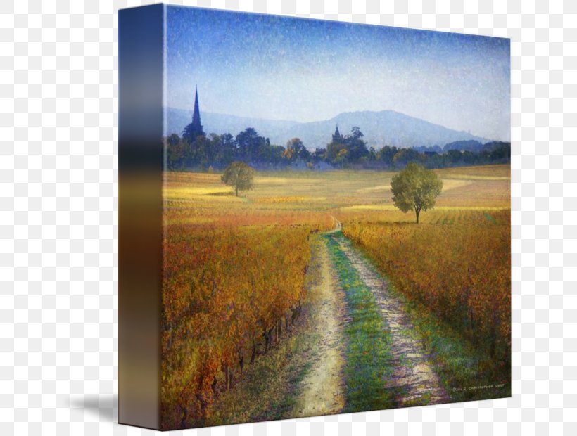Ecosystem Nature Painting Meadow Grasses, PNG, 650x620px, Ecosystem, Family, Field, Grass Family, Grasses Download Free