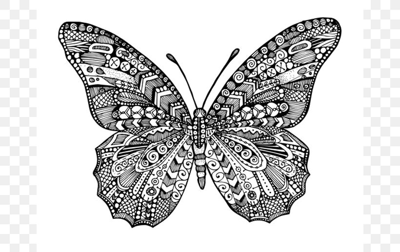 Monarch Butterfly Coloring Book Drawing, PNG, 670x517px, Monarch Butterfly, Arthropod, Black And White, Book, Brush Footed Butterfly Download Free
