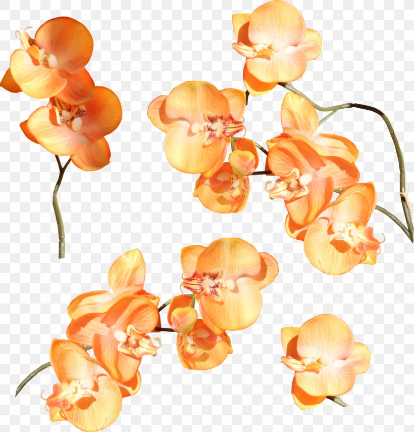 Orchids Cut Flowers Clip Art, PNG, 1535x1600px, Orchids, Cut Flowers, Depositfiles, Flower, Food Download Free