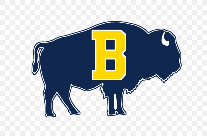 Buffalo High School Williamstown High School National Secondary School George Washington Middle School, PNG, 720x540px, Williamstown High School, Blue, Buffalo, Bull, Cattle Like Mammal Download Free