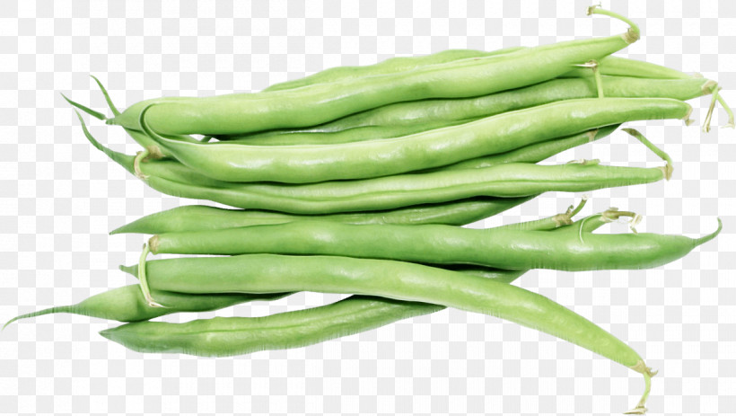 Green Beans Snap Pea Vegetable Broad Bean Lima Bean, PNG, 1200x678px, Green Beans, Birds Eye Chili, Broad Bean, Commodity, Green Download Free