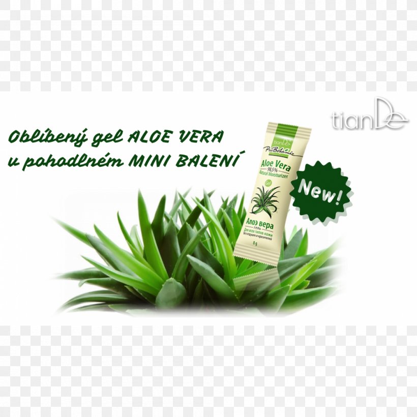 Jugo De Aloe Vera Plant Chlorophytum Comosum Herbalism, PNG, 1000x1000px, Aloe Vera, Aloe, Chlorophytum, Chlorophytum Comosum, Grass Download Free