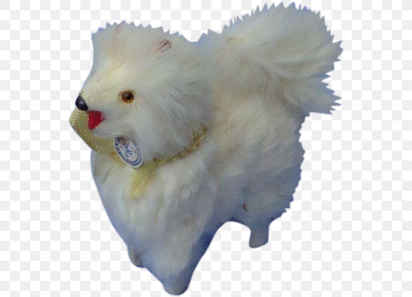 Pomeranian Samoyed Dog Dog Breed Snout Fur, PNG, 592x592px, Pomeranian, Breed, Carnivoran, Dog, Dog Breed Download Free