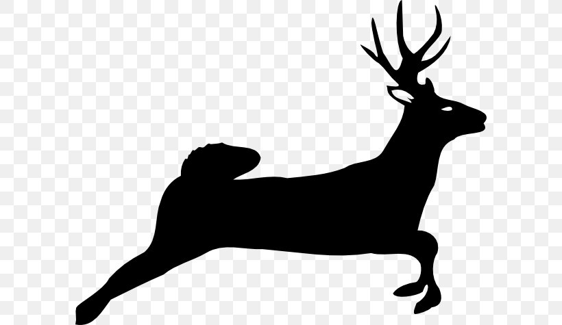 White-tailed Deer Reindeer Silhouette Clip Art, PNG, 600x475px, Deer, Antler, Black, Black And White, Deer Hunting Download Free