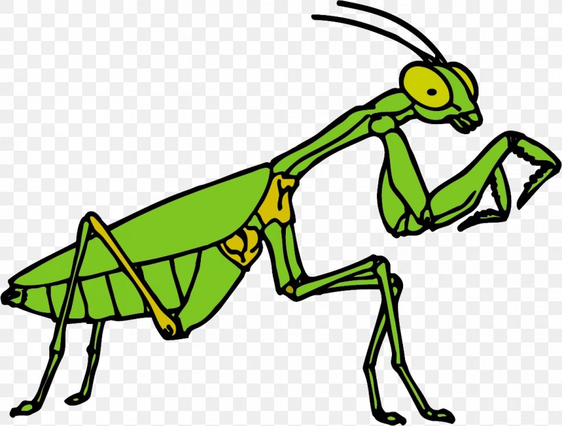 Clip Art Insect Mantis Openclipart Free Content, PNG, 1117x848px, Insect, Animal Figure, Art, Cartoon, Drawing Download Free