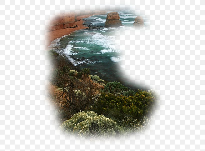 Desktop Wallpaper Sea, PNG, 517x606px, Sea, Advertising, Drawing, Grass, Landscape Download Free