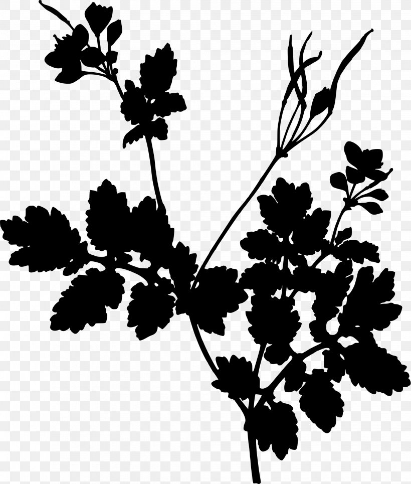 Greater Celandine Herb Medicinal Plants Book, PNG, 2038x2400px, Greater Celandine, Black And White, Book, Botany, Branch Download Free