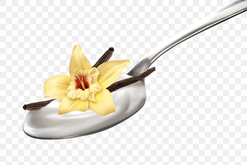 Milk Yoghurt Vanilla Flavor Extract, PNG, 1772x1191px, Milk, Cutlery, English, Extract, Flavor Download Free