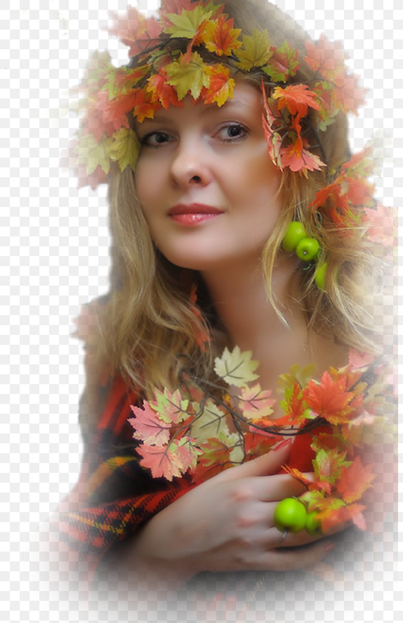 TinyPic Blog Impressive, PNG, 800x1265px, Tinypic, Autumn, Blog, Cut Flowers, Floral Design Download Free