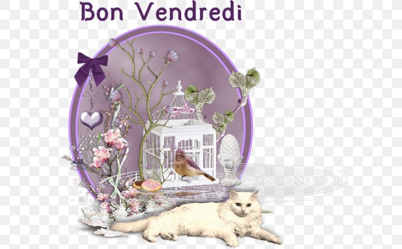 Universe Friday Bonjour Message Time, PNG, 600x509px, Universe, Bonjour, Cat, Cat Like Mammal, Fauna Download Free