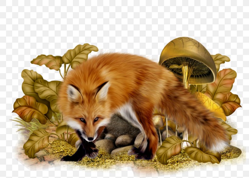 Autumn Cartoon, PNG, 800x584px, 2018, Red Fox, Ardennes, Autumn, Dhole Download Free