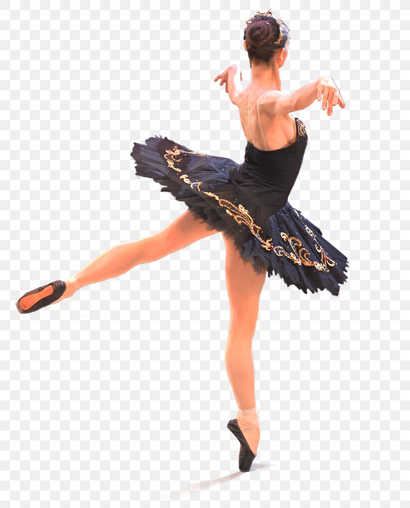 Ballet リサマリアブリティッシュバレエアーツ Choreographer Dance Tutu, PNG, 786x1015px, Watercolor, Cartoon, Flower, Frame, Heart Download Free