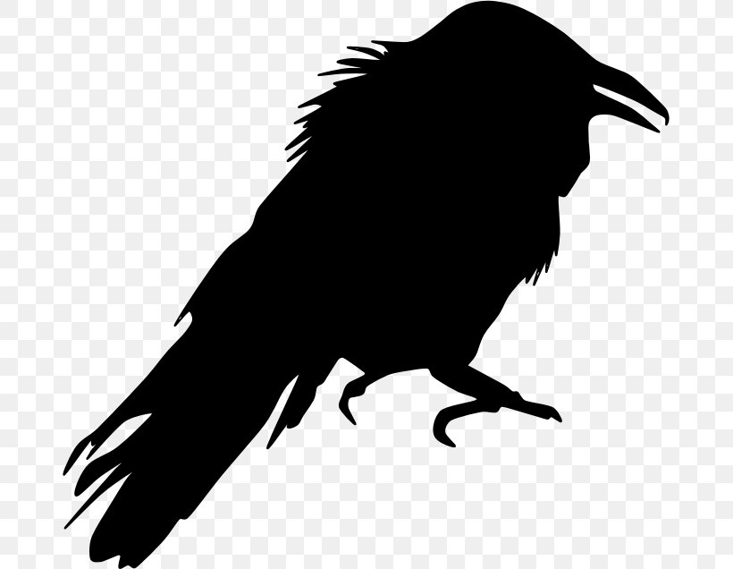 Crow Bird Silhouette Clip Art, PNG, 679x636px, Crow, American Crow, Beak, Bird, Bird Of Prey Download Free