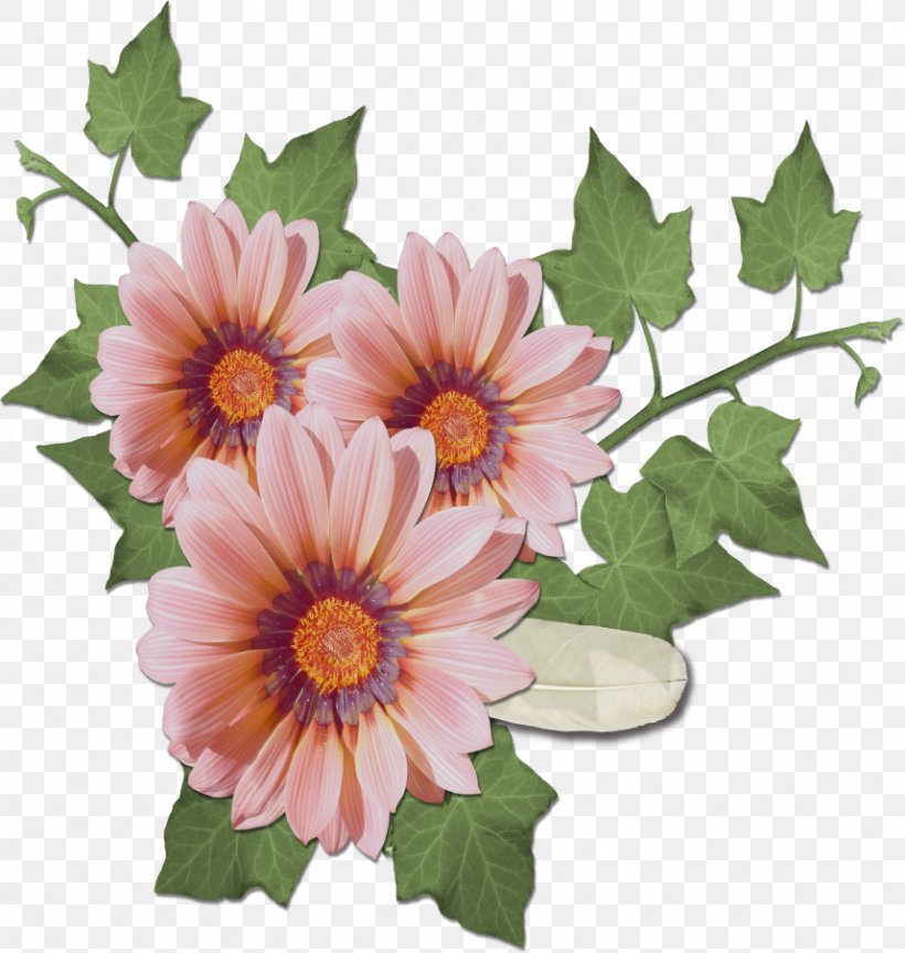 Floral Design Flower Clip Art, PNG, 858x905px, Floral Design, Annual Plant, Chemical Element, Chrysanthemum, Chrysanths Download Free