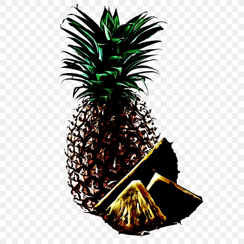Palm Tree, PNG, 1600x1600px, Pineapple, Ananas, Attalea Speciosa, Food, Fruit Download Free