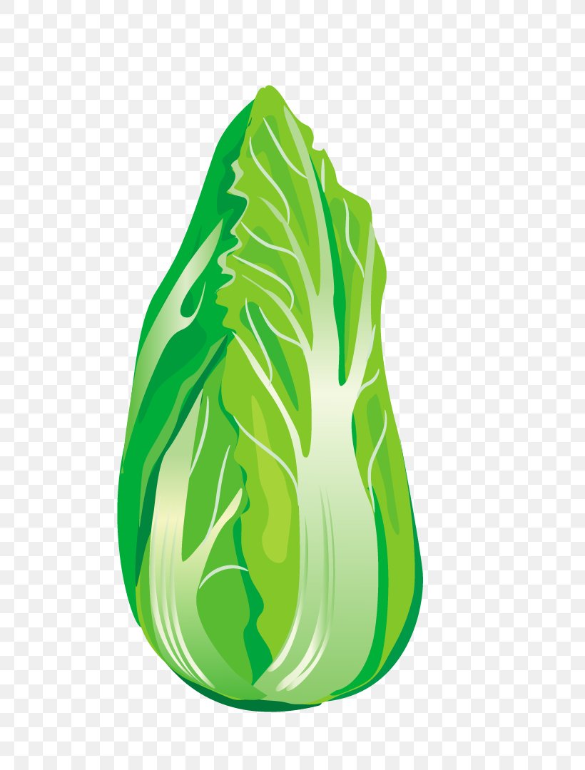 Vegetable Chinese Cabbage Napa Cabbage, PNG, 815x1080px, Vegetable, Cabbage, Chinese Cabbage, Food, Fruit Download Free