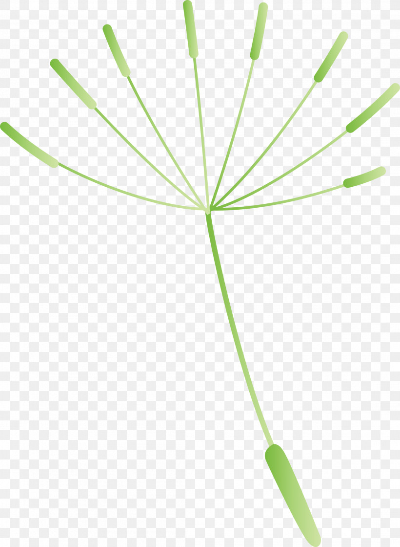 Dandelion, PNG, 2198x3000px, Dandelion, Biology, Geometry, Grasses, Green Download Free