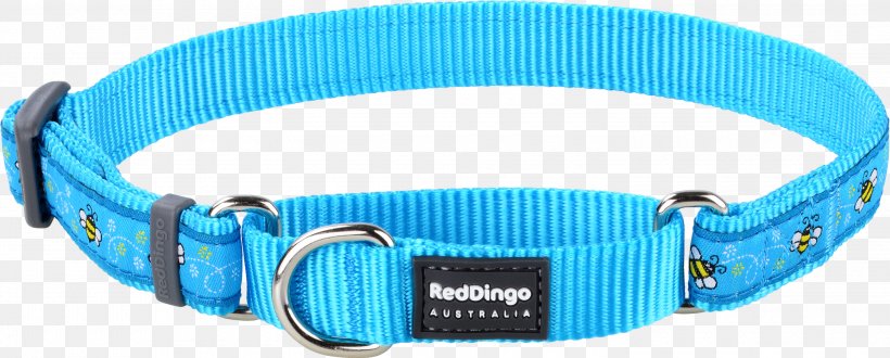 Dingo Dog Collar Martingale Leash, PNG, 3000x1209px, Dingo, Aqua, Black, Blue, Bone Download Free