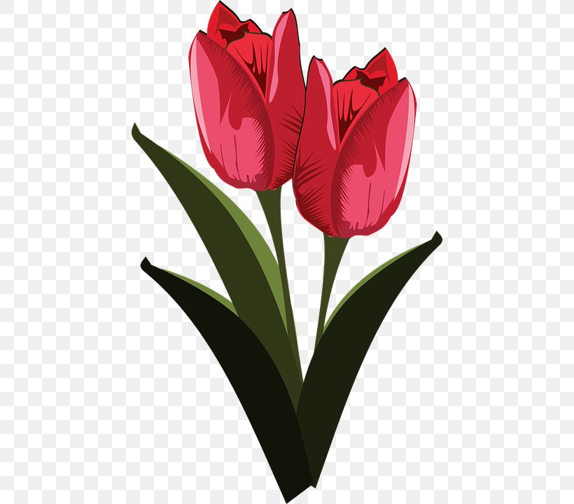Flower Clip Art, PNG, 444x720px, Flower, Cut Flowers, Floristry, Flowering Plant, Heart Download Free