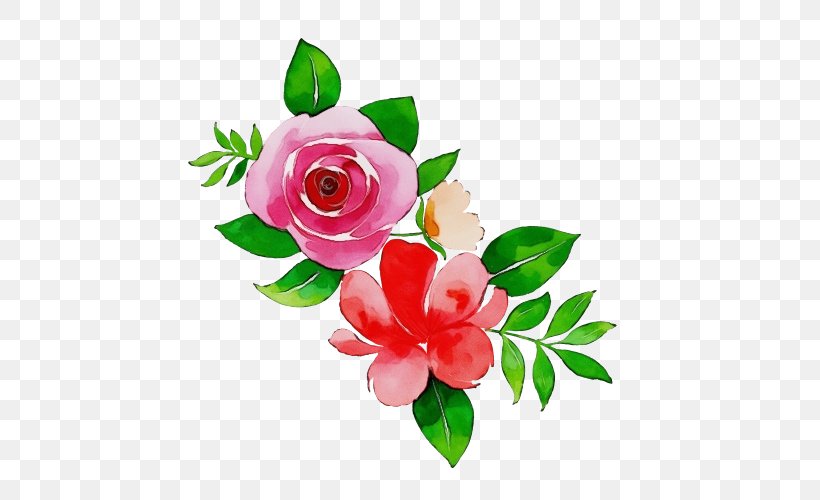 Garden Roses, PNG, 500x500px, Watercolor, Cut Flowers, Flower, Flowering Plant, Garden Roses Download Free