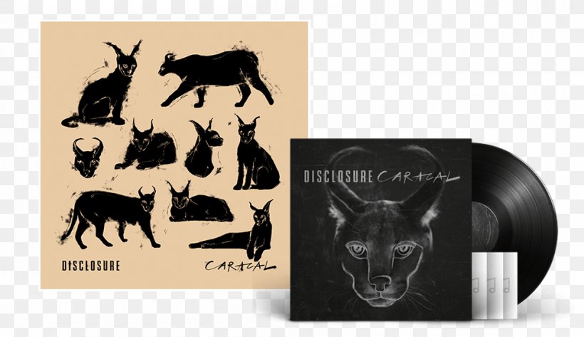 Caracal Compact Disc Disclosure Album Phonograph Record, PNG, 1000x578px, Watercolor, Cartoon, Flower, Frame, Heart Download Free
