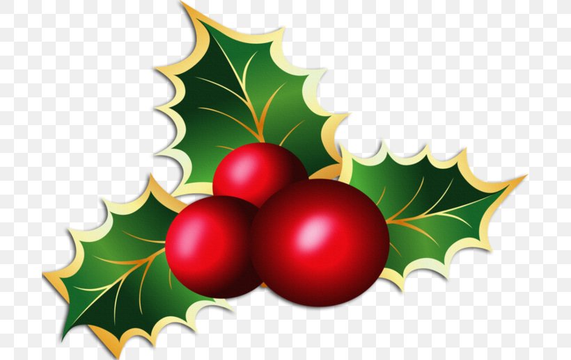 Christmas Mistletoe Candy Cane Clip Art, PNG, 699x518px, Mistletoe, Aquifoliaceae, Aquifoliales, Berry, Candy Cane Download Free