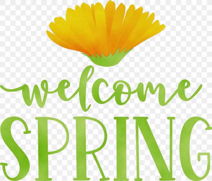 Flower Cut Flowers Petal Pot Marigold Logo, PNG, 3000x2566px, Welcome Spring, Calendula, Cut Flowers, Flower, Happiness Download Free