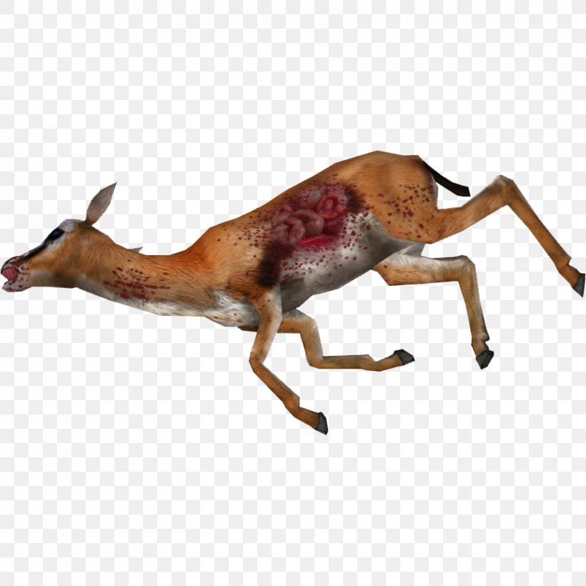 Impala Gazelle Deer Antelope Death, PNG, 861x861px, Impala, Animal, Antelope, Cause Of Death, Cheetah Download Free