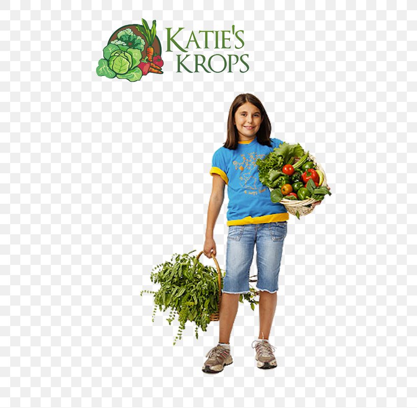 Katie's Cabbage T-shirt Book Plant Human Behavior, PNG, 640x801px, Tshirt, Behavior, Book, Capitata Group, Clothing Download Free