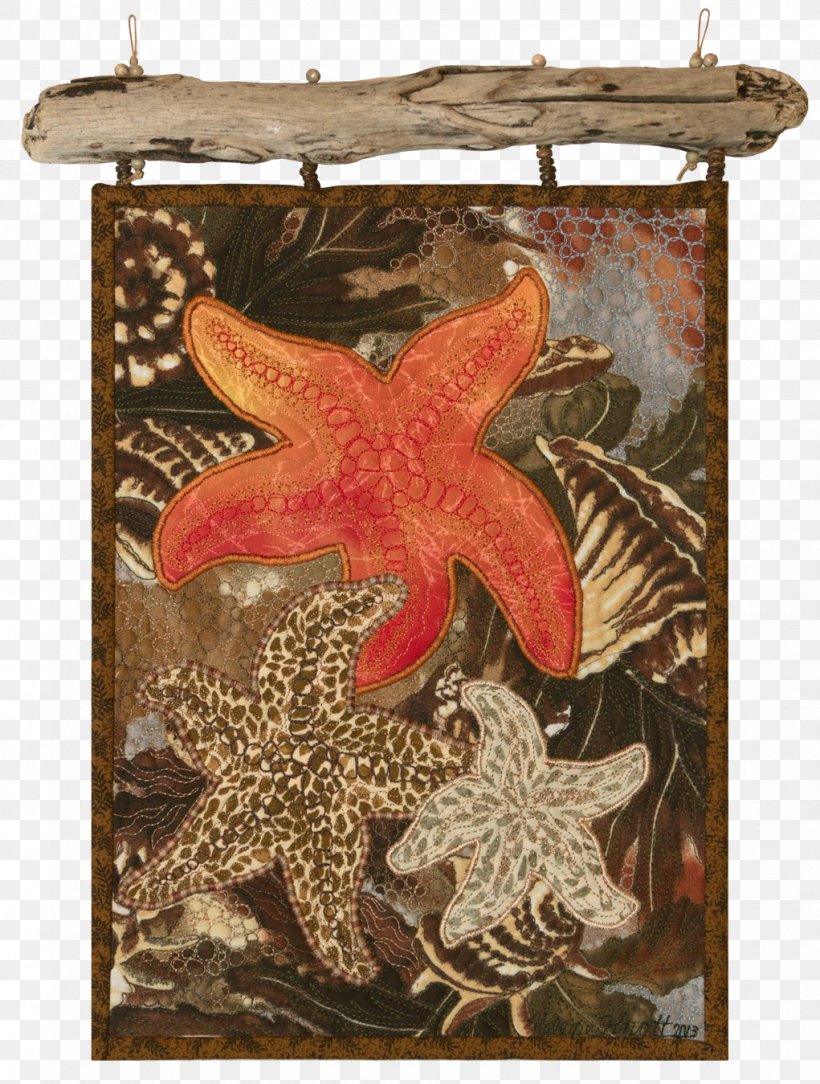 Starfish, PNG, 1021x1350px, Starfish, Echinoderm, Invertebrate, Marine Invertebrates Download Free