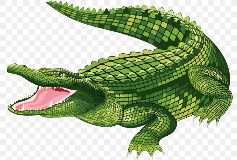 Vector The Crocodile Alligator Clip Art, PNG, 800x552px, Crocodile, Alligator, Crocodilia, Fauna, Free Content Download Free