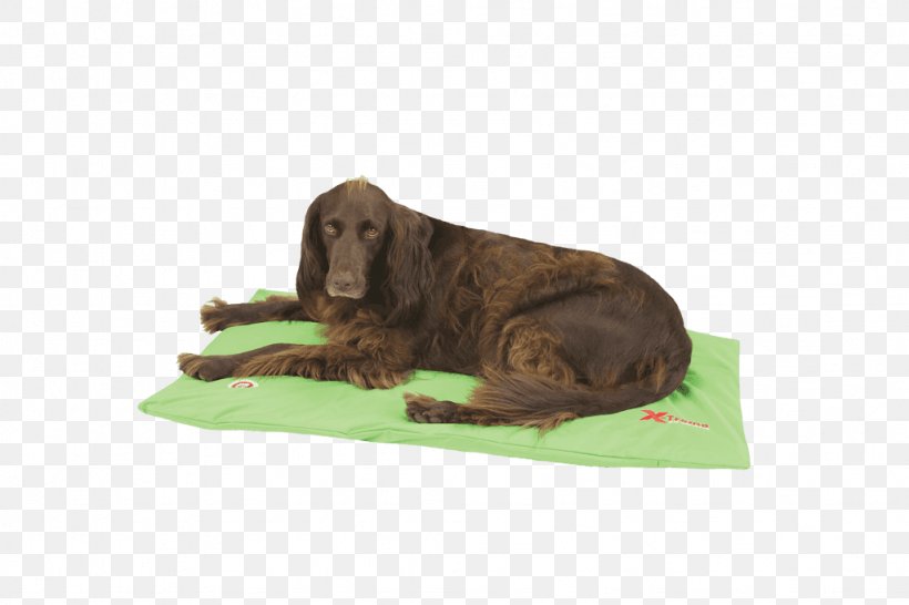 Dog Breed Duvet Green Bed, PNG, 1024x683px, Dog Breed, Applegreen, Bed, Breed, Dog Download Free