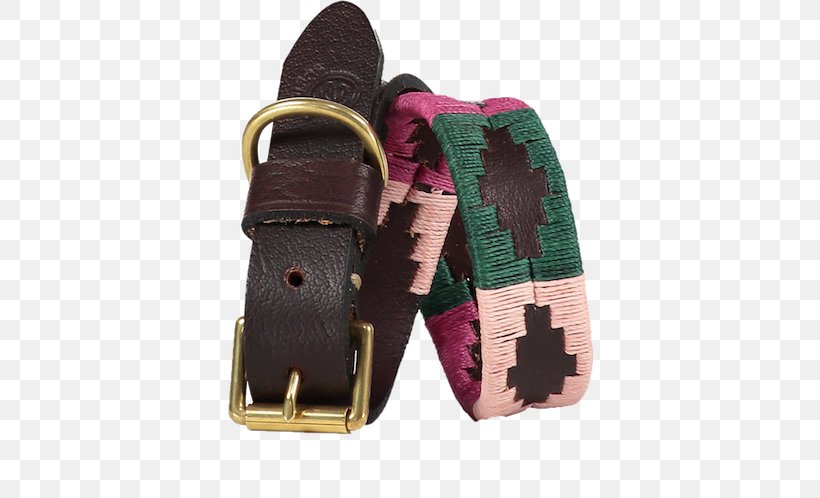 Dog Collar Belt Strap, PNG, 624x498px, Dog, Argentina, Belt, Brass, Buckle Download Free