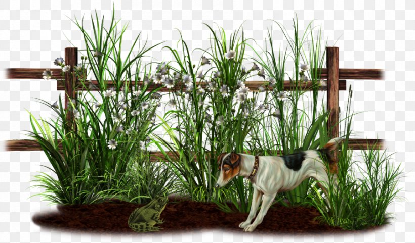 Farm PaintShop Pro Clip Art, PNG, 900x528px, Farm, Data, Fence, Flowerpot, Grass Download Free