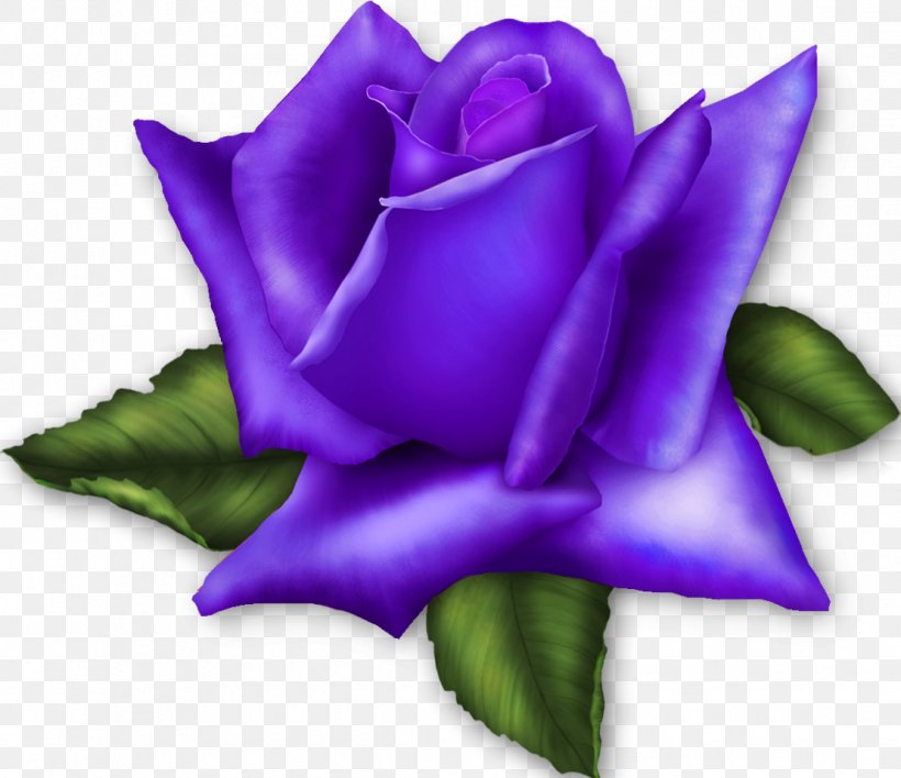 Garden Roses Flower Clip Art, PNG, 1110x959px, Rose, Blue, Close Up, Cut Flowers, Flower Download Free