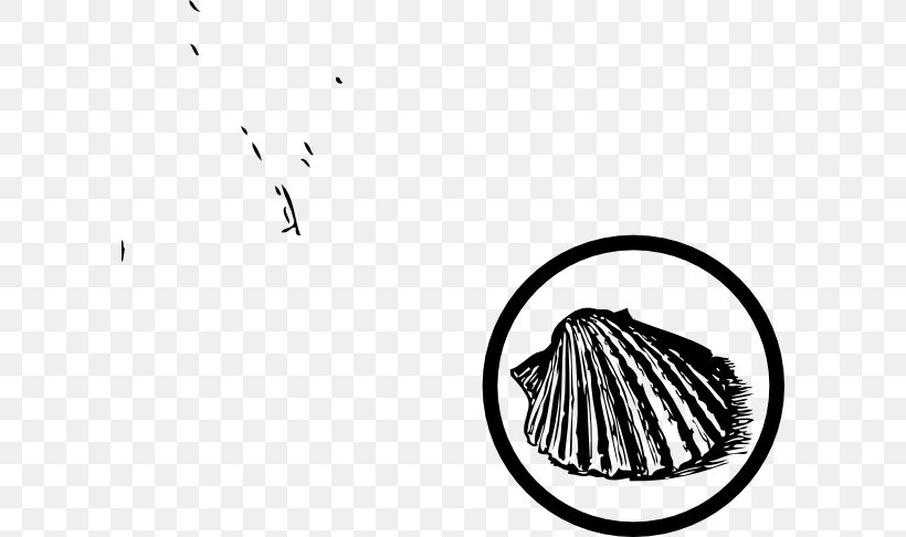 Seashell Beach Art Clip Art, PNG, 600x486px, Seashell, Art, Beach, Black, Black And White Download Free