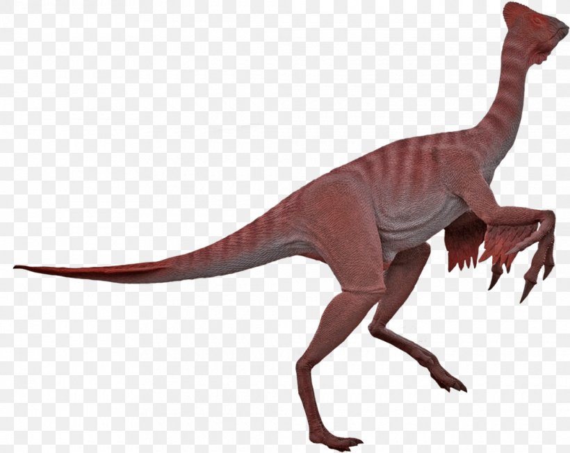 Velociraptor Moab Giants Chirostenotes Oviraptor, PNG, 1040x827px, Velociraptor, Animal, Animal Figure, Chirostenotes, Dinosaur Download Free
