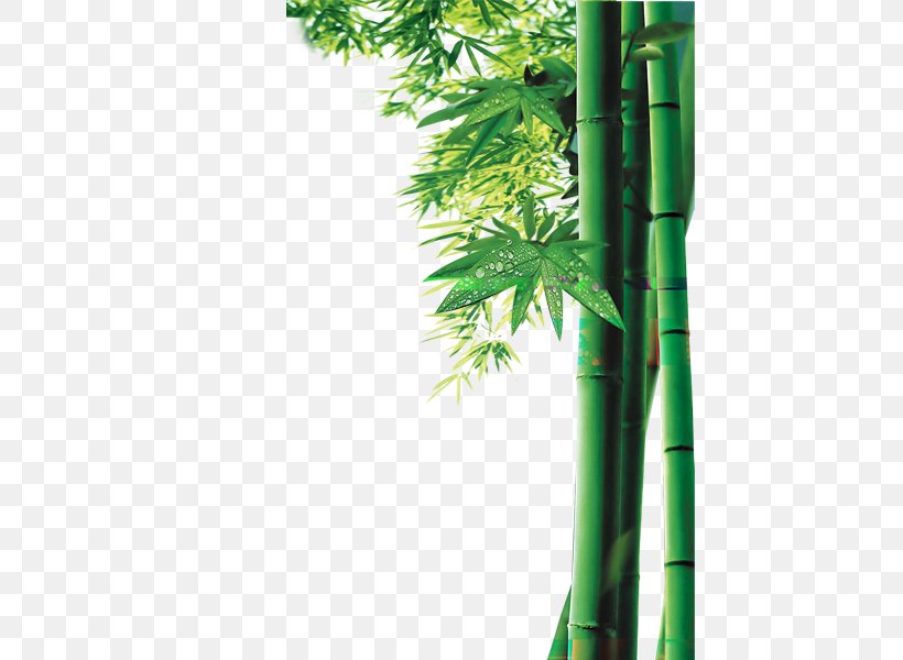 Bamboo Bamboe Computer File, PNG, 452x600px, Bamboo, Bamboe, Grass, Green, Leaf Download Free