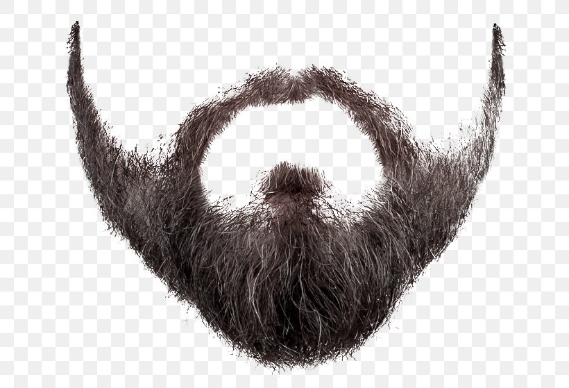 Beard Clip Art, PNG, 678x559px, Beard, Black And White, Facial Hair, Fur, Goatee Download Free